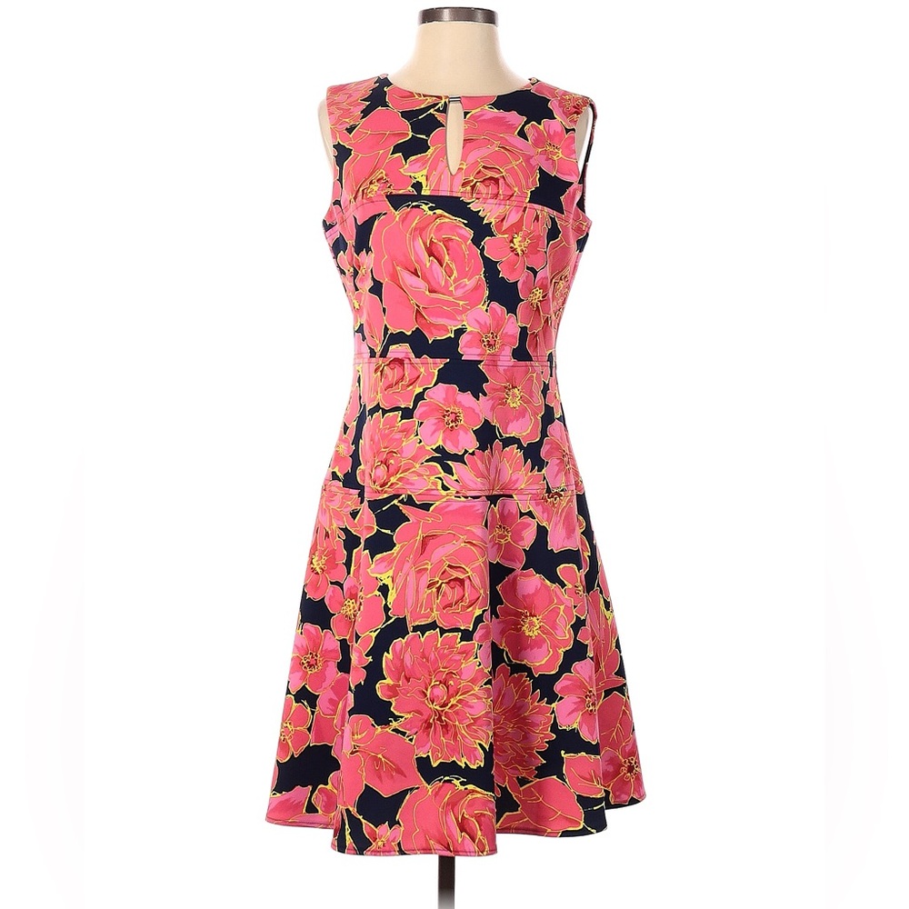 Ellen Tracy Women’s Casual Fit and Flare Dress 6